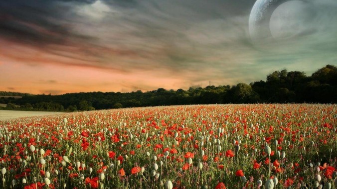 特朗普集团推出 499 美元「土豪金」手机 T1，安卓系统，号称「美国制造」，如何看待此举？